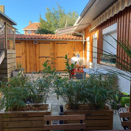 Le Central Plage - Commerce - Marche A 2 Pas Apartment Аркашон Екстериор снимка